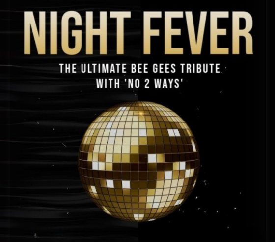 Night Fever