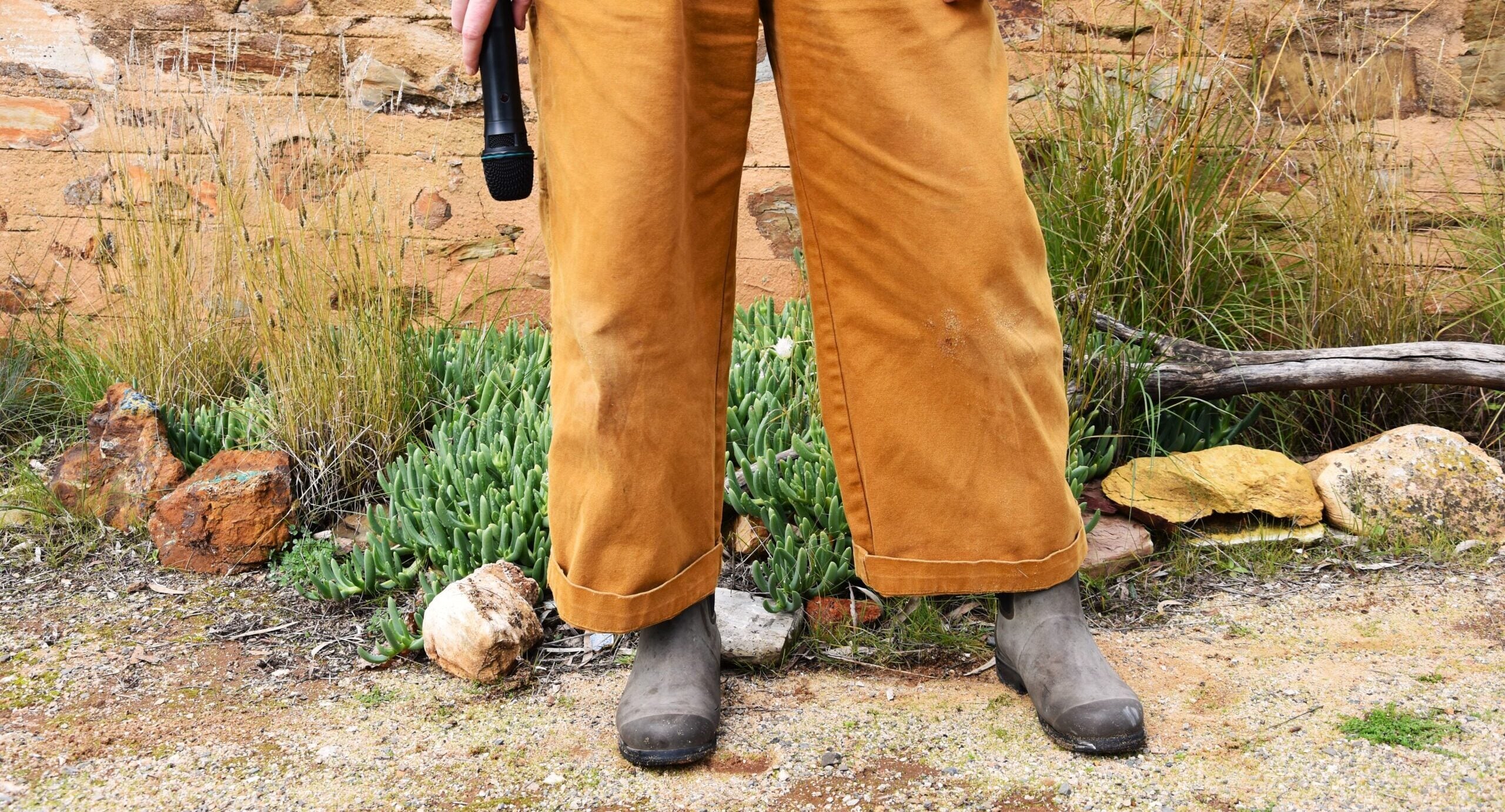 Wandering Tales: Seeding New Ground