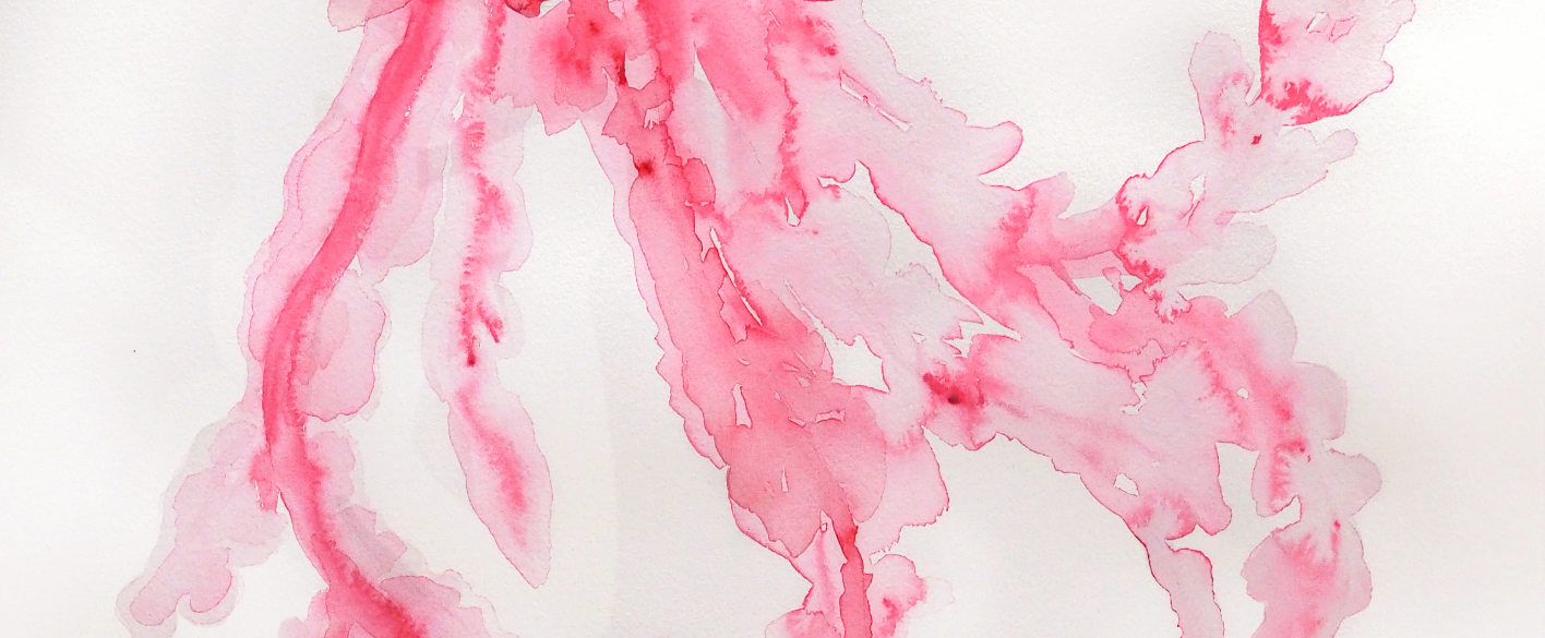 Secrets of Seaweed